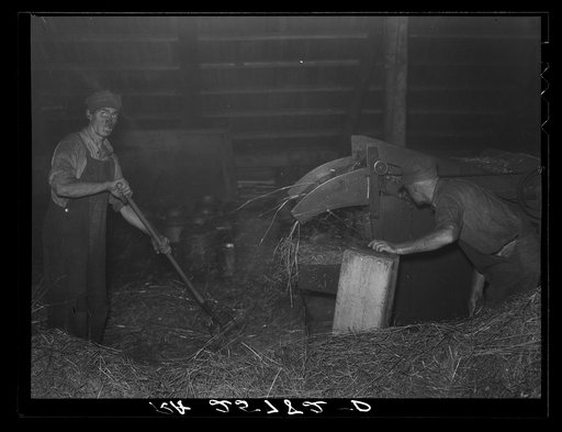 Threshing. Caledonia County, Vermont