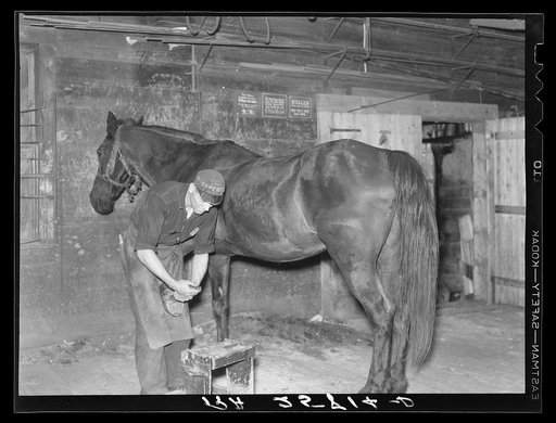 Blacksmith shoeing horse. Lowell, Vermont