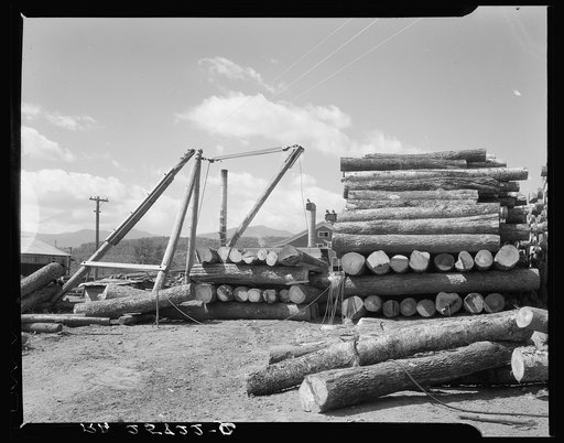 Logs at sawmill at Morrisville, Vermont
