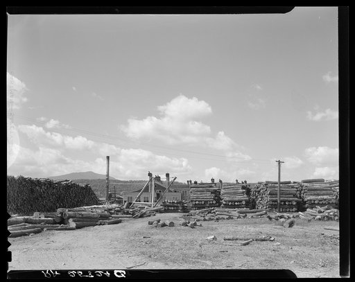 Veneer mill. Morrisville, Vermont