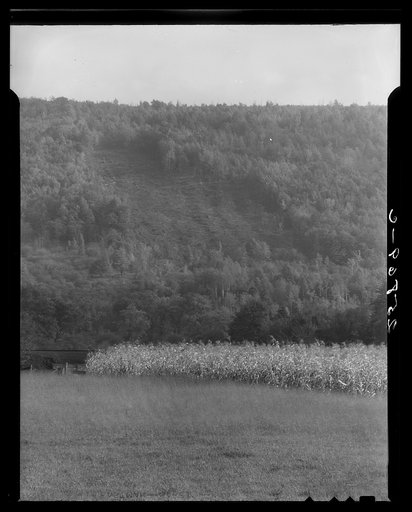 Untitled photo, possibly related to: Erosion. Otsego County, New York