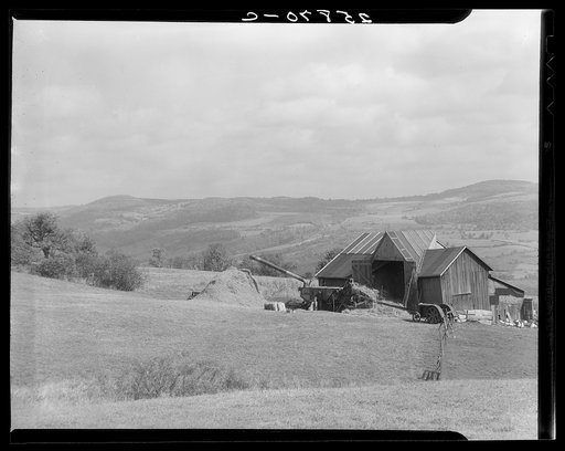 Threshing. Otsego County, New York
