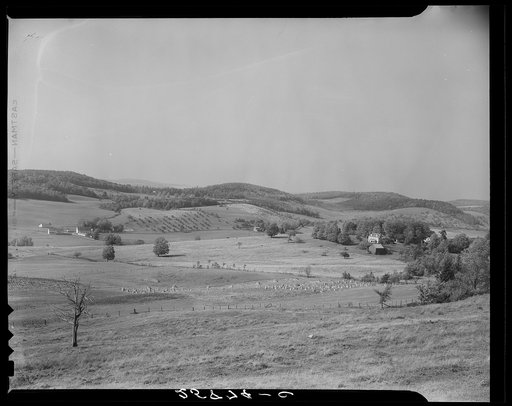Farmland. Otsego County, New York