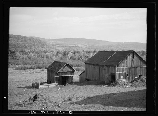 Barns on Lorenzo Clapper's farm. Otsego County, New York