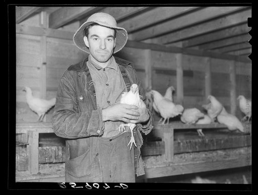 Client on farm tenancy project in his new chicken house. Tompkins County, New York
