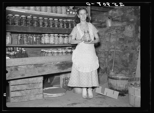 Wife of farmer resettled on farm tenancy project. Tompkins County, New York