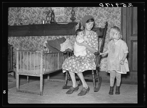 Wife and children of Ellery Shufelt. Albany County, New York