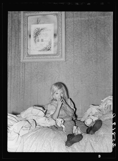 Daughter of Ellery Shufelt. Albany County, New York
