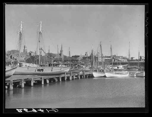 Fishing boats. Gloucester, Massachusetts
