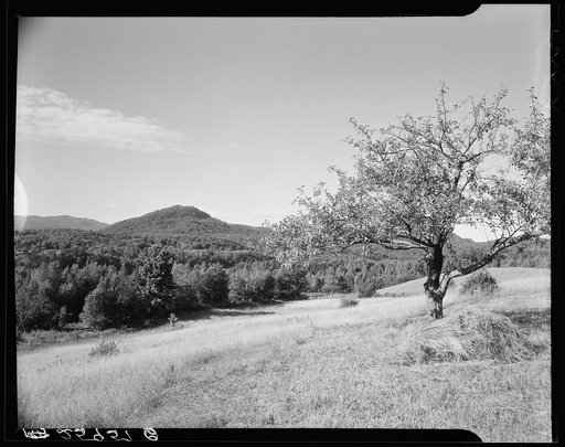 View across Lake Eden. Lamoille County, Vermont