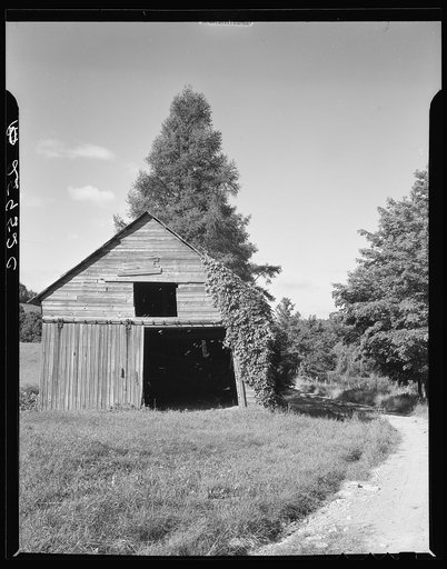 Old barn. Eden Mills, Vermont