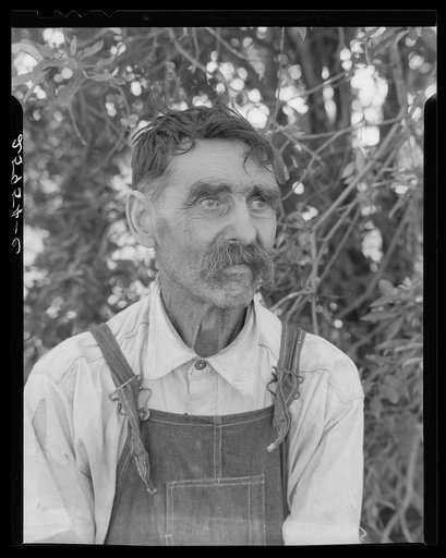Sam Alexander, stonemason. Eden Mills, Vermont
