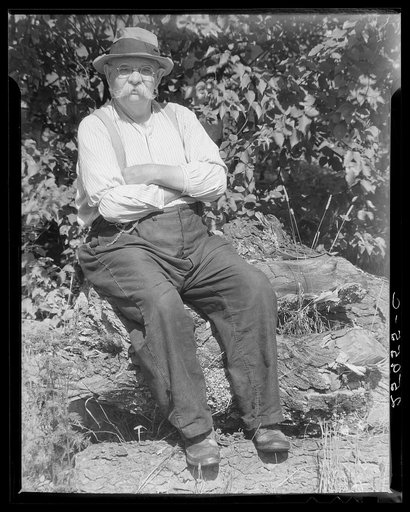 Forest Carpenter, handy man. Eden Mills, Vermont