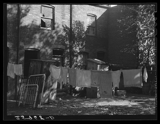 Backyard in slum area. Washington, D.C.