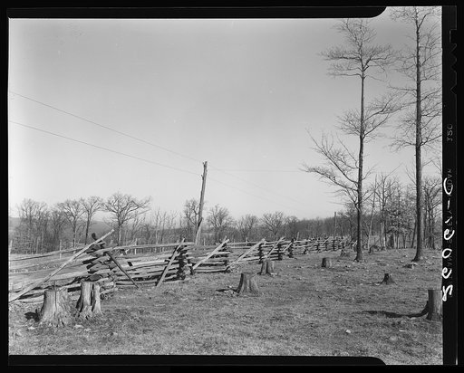 Rail fence. Garrett County, Maryland