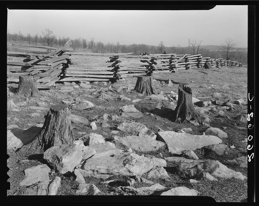Rail fence and cut-over land. Garrett County, Maryland