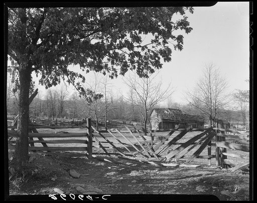 Rail fence and gate on Minnie Knox's farm. Garrett County, Maryland