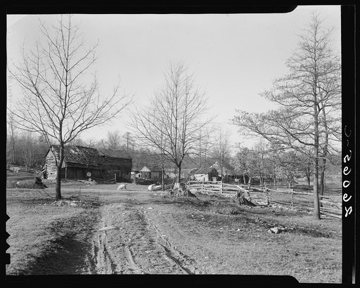 Minnie Knox's farm. Garrett County, Maryland
