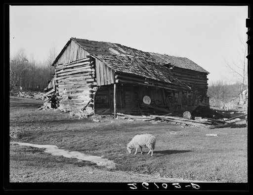 Part of Minnie Knox's farm. Garrett County, Maryland