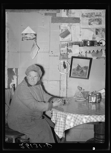 Mrs. Cylyea lives in a remodeled chicken house. Oswego County, New York