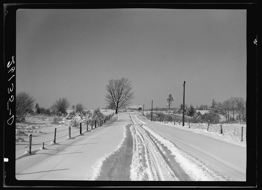Rural road. Oswego County, New York