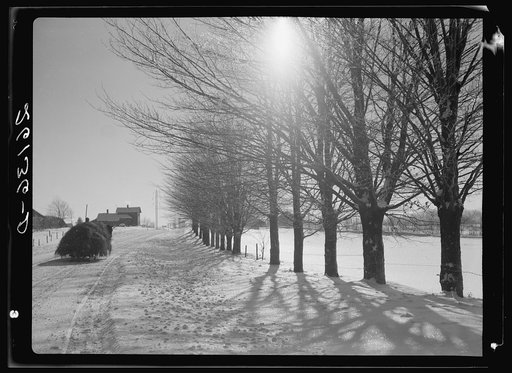 Winter scene. Oswego County, New York