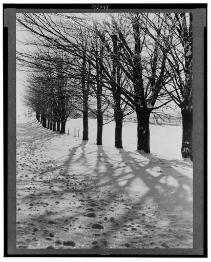Winter scene. Oswego County, New York