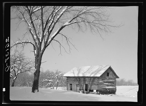 Abandoned log cabin. Oswego County, New York