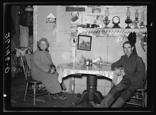 Mrs. Cylyea and son. Oswego County, New York