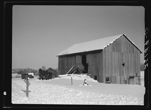 Untitled photo, possibly related to: Loading hay. Oswego County, New York