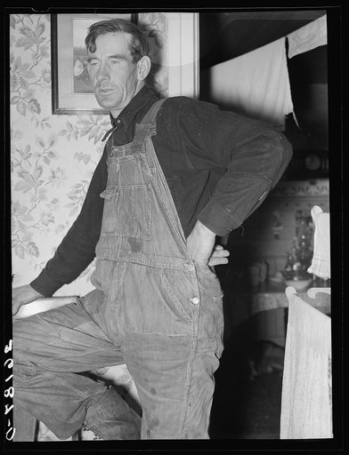 Dalton (vicinity), Allegany County, New York. Fred Ess, a farmer on submarginal land