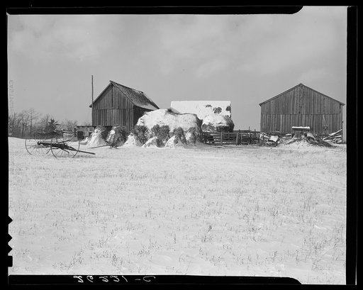 Dalton, Allegany County, New York. Farm of Fred Ess
