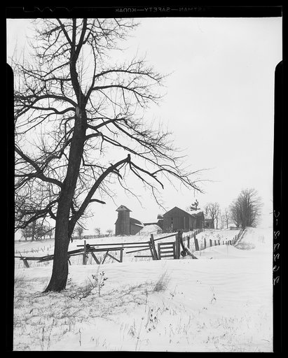 Farm near Dalton, New York. Allegany County