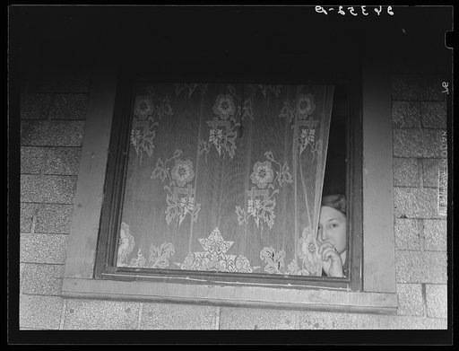Prostitute at window. There are 140 prostitutes in Peoria, average age about twenty-three. Local physicians estimate ninety percent have gonorrhea and seventy-five percent have syphilis. Peoria, Illinois
