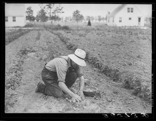 Untitled photo, possibly related to: Wabash Farms, Indiana