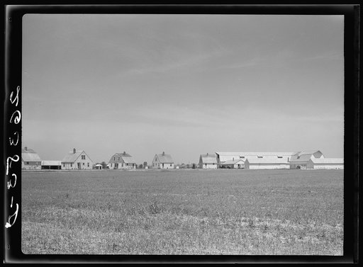 Houses and barns. Wabash Farms, Indiana