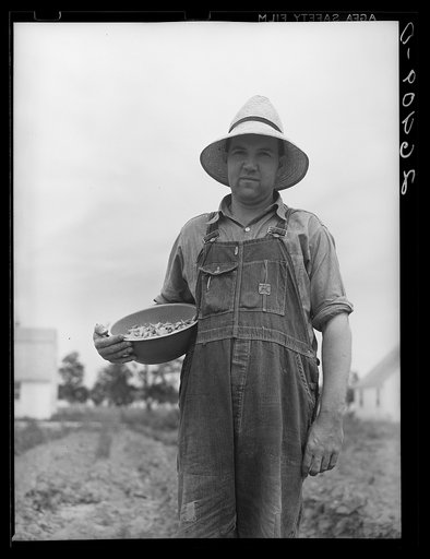 Resettled farmer at Wabash Farms, Indiana