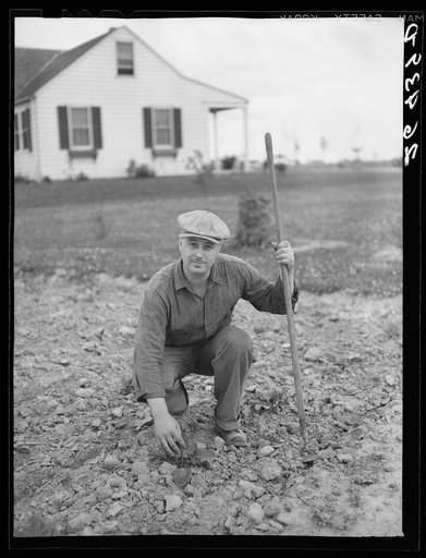 Walter Bollinger in his garden. Decatur Homesteads, Indiana