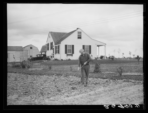 Walter Bollinger in garden. Decatur Homesteads, Indiana