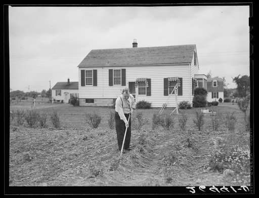 Morris Pingry in his garden. Decatur Homesteads, Indiana