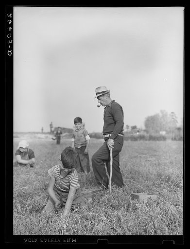 Untitled photo, possibly related to: Boy picking cranberries. Burlington County, New Jersey