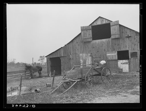 Barn on tenant farm. Camden County, New Jersey