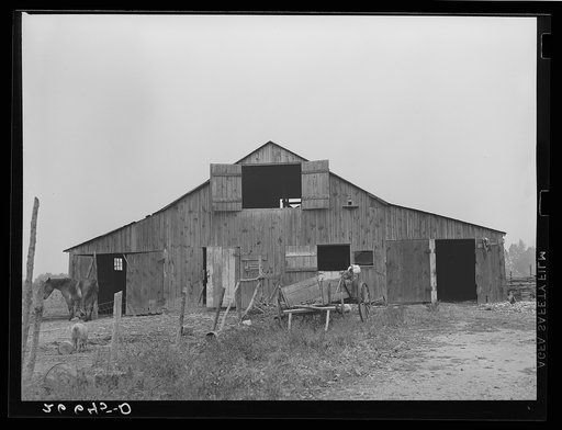 Untitled photo, possibly related to: Barn on tenant farm. Camden County, New Jersey