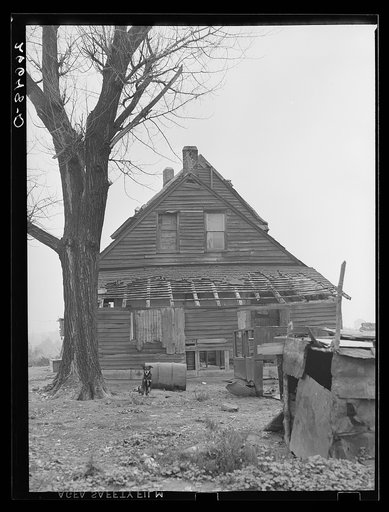 Home of tenant farmer. Camden County, New Jersey