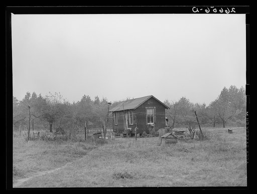 Real estate promoters create farms like this. Burlington County, New Jersey