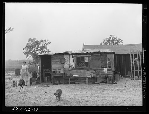 Sub-marginal farm. Burlington County, New Jersey