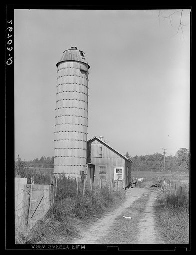 Silo shed in which fourteen migrant potato pickers are housed. Monmouth County, New Jersey