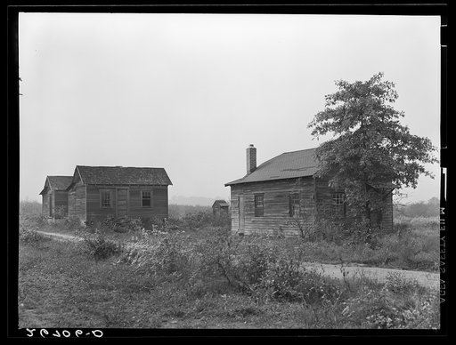 Shacks on apple-grower's farm in which seasonal workers live. Burlington County, New Jersey