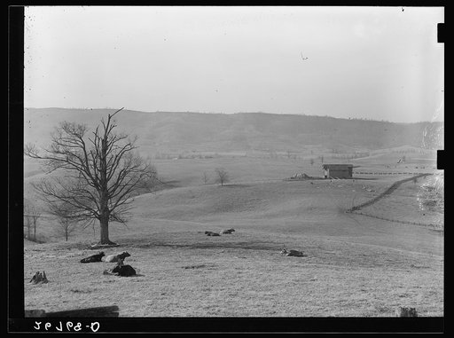 Farmland. Alleghany County, Virginia