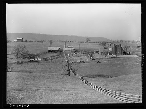 Farmland. Alleghany County, Virginia